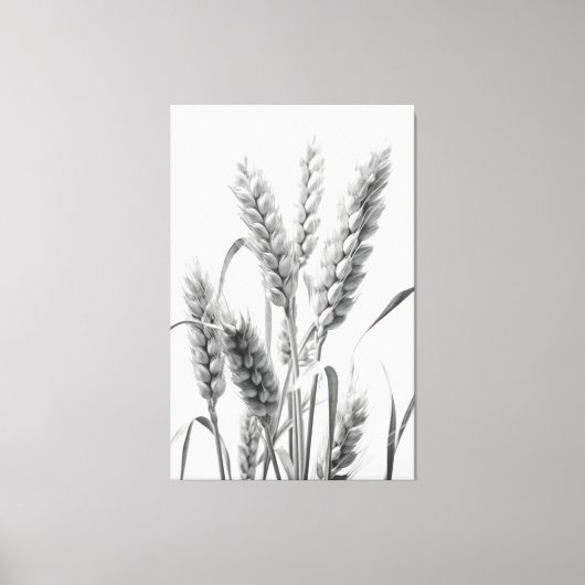 Tarweoogst: B&W rustiek portret Canvas Afdruk (Voorkant)