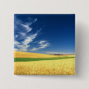 Tarweoogst op de Palouse in Oost- Vierkante Button 5,1 Cm