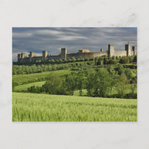 Tarweveld en verre Monteriggioni, in de Briefkaart
