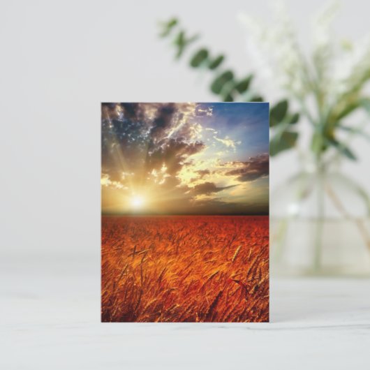 Tarweveld en zonsondergang briefkaart (Staand voorkant)