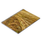 Tarweveld. Het is oogsttijd! Notitieboek (Linkerzijde)