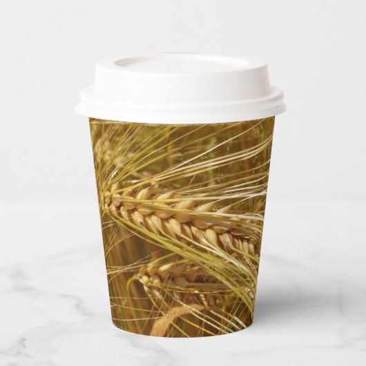 Tarweveld. Het is oogsttijd! Papieren Bekers (Links)