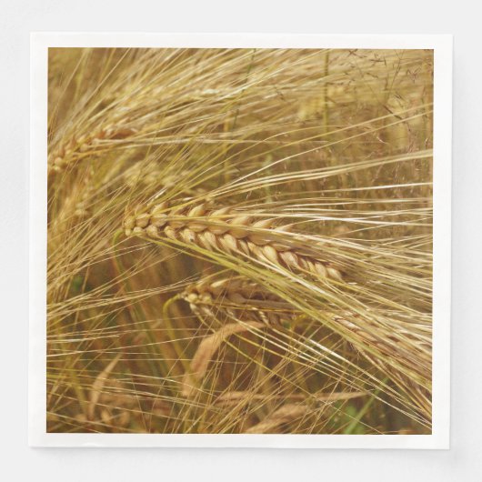 Tarweveld. Het is oogsttijd! Servet (Voorkant)