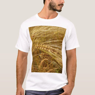 Tarweveld. Het is oogsttijd! T-shirt