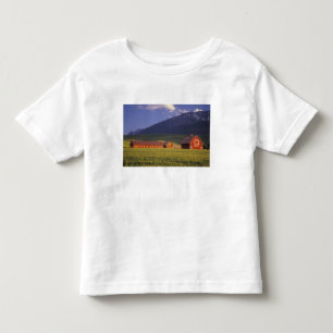 Tarweveld in de Wallowa-vallei, net buiten Kinder Shirts
