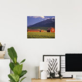 Tarweveld in de Wallowa-vallei, vlak buiten Poster (Thuiskantoor)