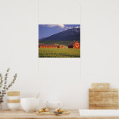 Tarweveld in de Wallowa-vallei, vlak buiten Poster (Keuken)