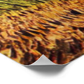 Tarweveld met een Lark Poster (Hoek)