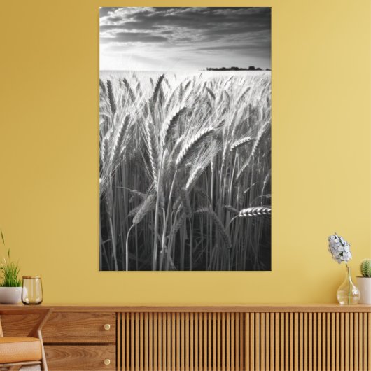 Tarweveld: Monochrome landelijke charme Canvas Afdruk (Insitu (Woonkamer))