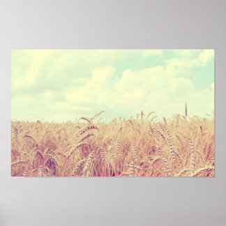 Tarweveld Poster