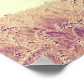 Tarweveld Poster (Hoek)