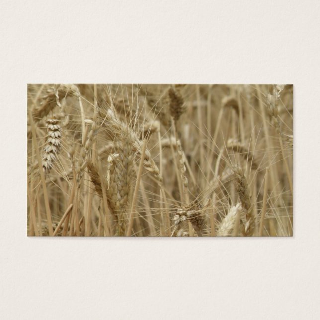 Tarweveld Visitekaartje (Voorkant)