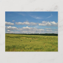 Tarwevelden Briefkaart