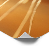 Tarwewater Drop Natuur Serene Tranquil Poster (Hoek)