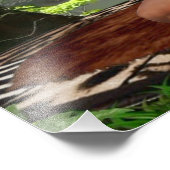 TARZANA SCISSORS LUANA #3 FOTO AFDRUK (Hoek)