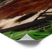 TARZNA'S VOLLEDIGE NELSON POSTER (Hoek)