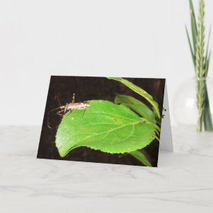 "T'as Attrapé un Bug..." Carte de Bon rétablisseme
