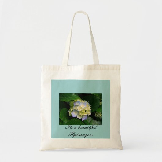 Tas begroting (Voorkant)