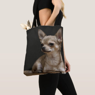 Tas Chihuahua