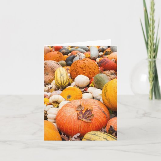 Tas de citrouilles et de courges (Devant)