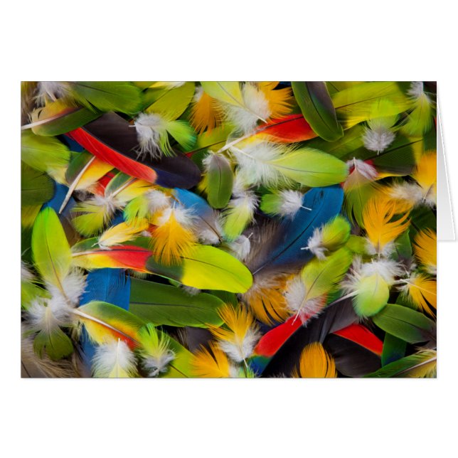 Tas de plumes colorées (Devant horizontal)