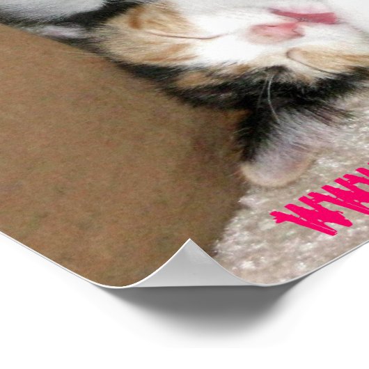 T'as du stress ? POSTER CUTE CUTE KITTEN (Coin)