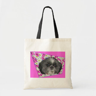 Tas Shih-Tzu