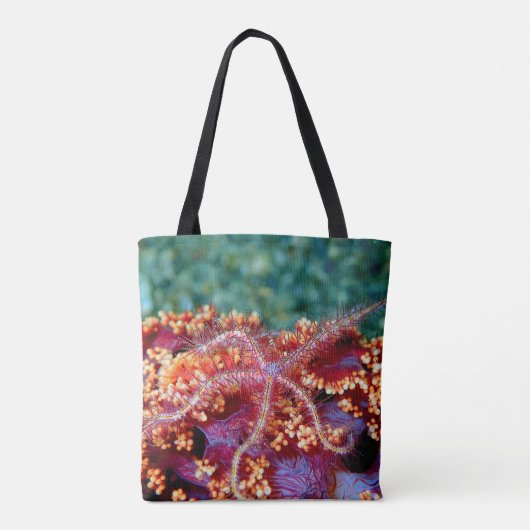 Tas van koraalriffen van zeesterkreeften (Achterkant)