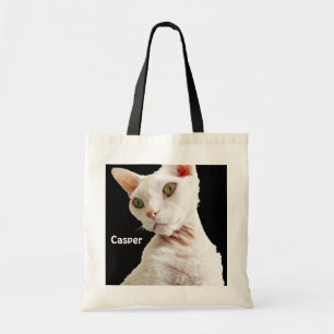 Tas   White Devon Rex Cat Casper