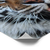 Tashara3 Poster (Hoek)