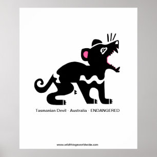 Tasmaanse duivel - poster