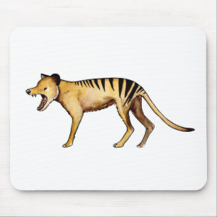 Tasmaanse tijger, Thylacine Muismat