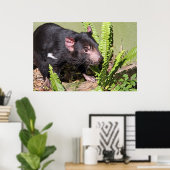 Tasmanian Devil, Australië Poster (Thuiskantoor)