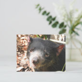 Tasmanian Devil Briefkaart (Staand voorkant)