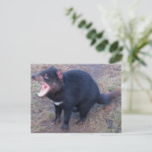 Tasmanian Devil - Briefkaart (Staand voorkant)