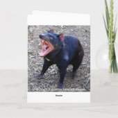 Tasmanian Devil Happy Birthday Kaart (Achterkant)