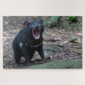 Tasmanian Devil in Tasmania Australia, 1014 stuks Legpuzzel (Horizontaal)