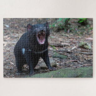 Tasmanian Devil in Tasmania Australia, 1014 stuks Legpuzzel