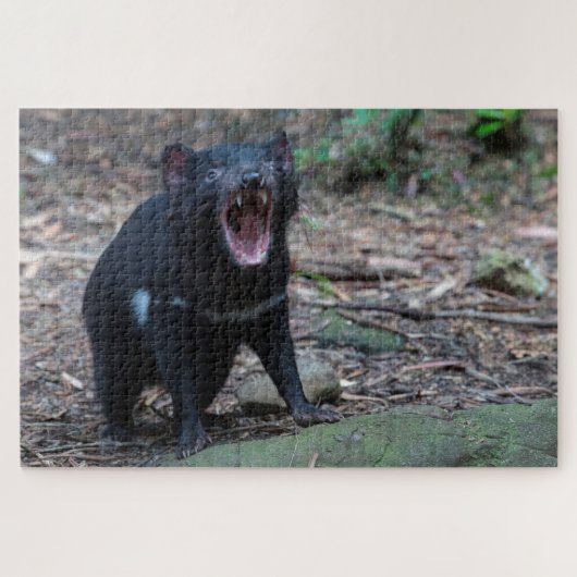 Tasmanian Devil in Tasmania Australia, 1014 stuks Legpuzzel (Horizontaal)
