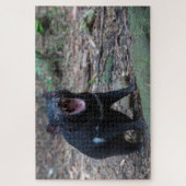 Tasmanian Devil in Tasmania Australia, 1014 stuks Legpuzzel (Verticaal)