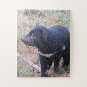 Tasmanian Devil Legpuzzel