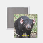 Tasmanian Devil Magneet (Voorkant / Achterkant)