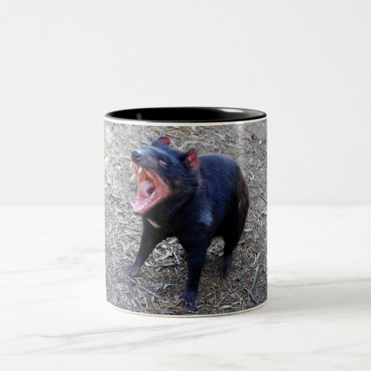 Tasmanian Devil Mok (Center)