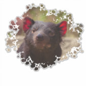 Tasmanian Devil Sticker (Voorkant)