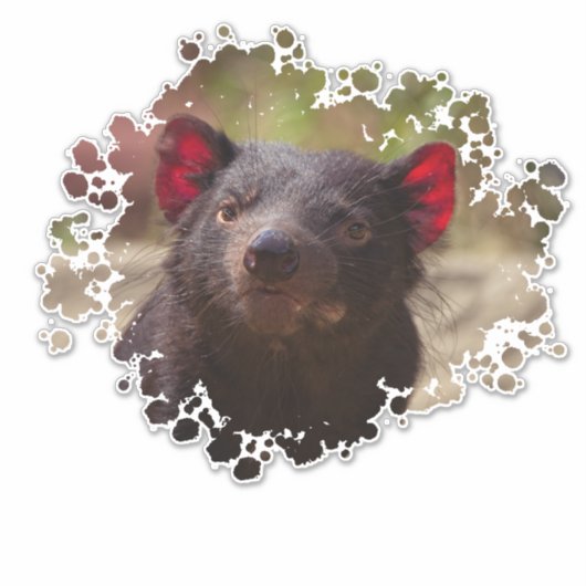 Tasmanian Devil Sticker (Voorkant)