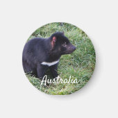 Tasmanian Devil, Tasmania, Australië Magneet (Voorkant)