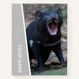 Tasmanian Devil, Tasmania, Australië, Silver Notitieboek