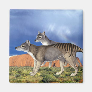 Tasmanian Tiger Magnet Magneet