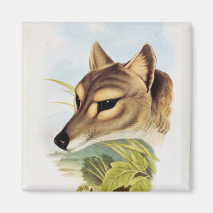 Tasmanian Wolf of Tiger Magneet