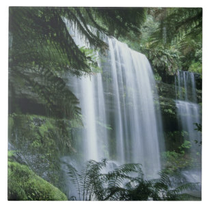 Tasmanië, Mt. Field Nationaal Park, Russell Falls Tegeltje